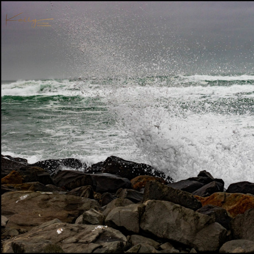 Outdoor portrait of a couple laughing