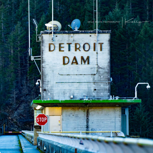 Woman standing in field at golden hour