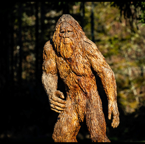 Intimate close-up of eyes and expression