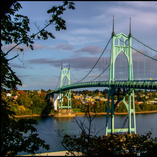 Portrait of man in sunglasses with graffiti background